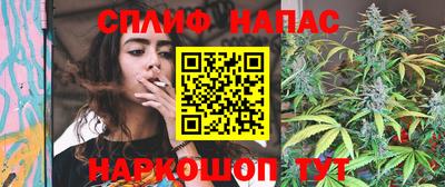тгк Белореченск