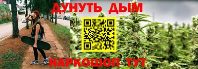 сатива Бердск