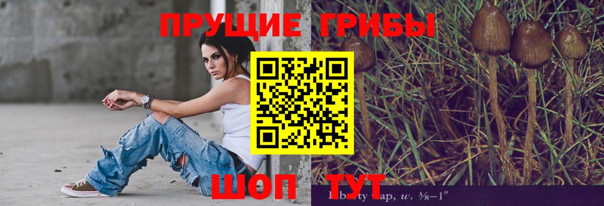 Псилоцибиновые грибы прущие грибы  Вход с VPN  купить наркотики сайты  Аргун 